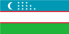 usaFlag